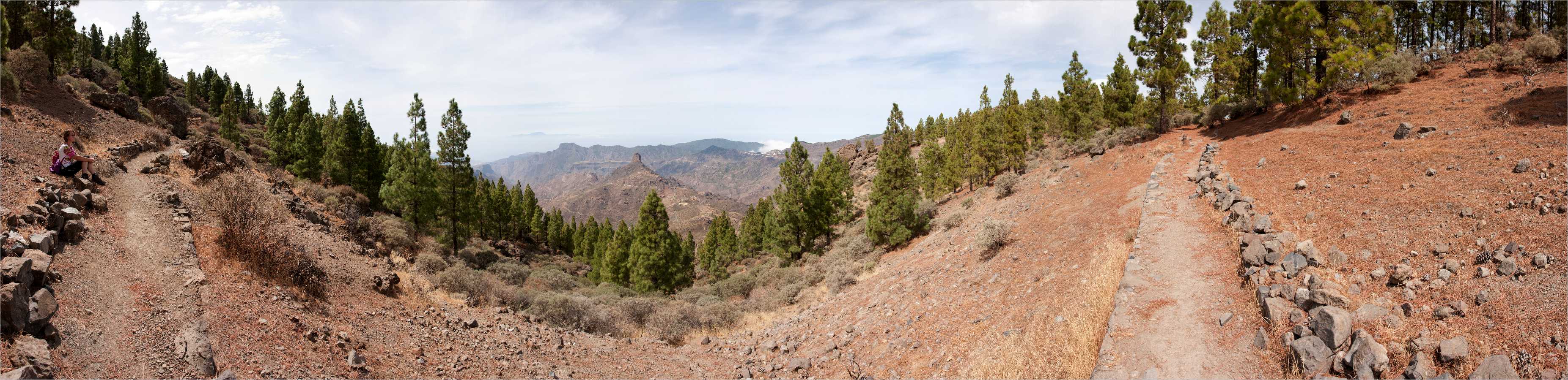 Panorama >> Roque Nublo
