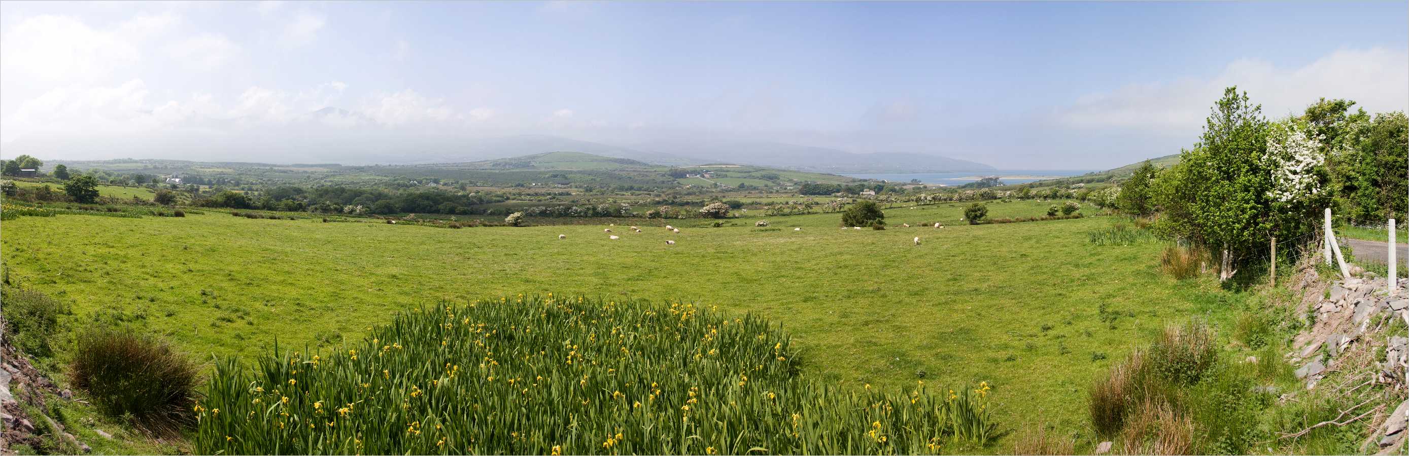 Panorama >> Irland - Dingle Peninsula - Camp