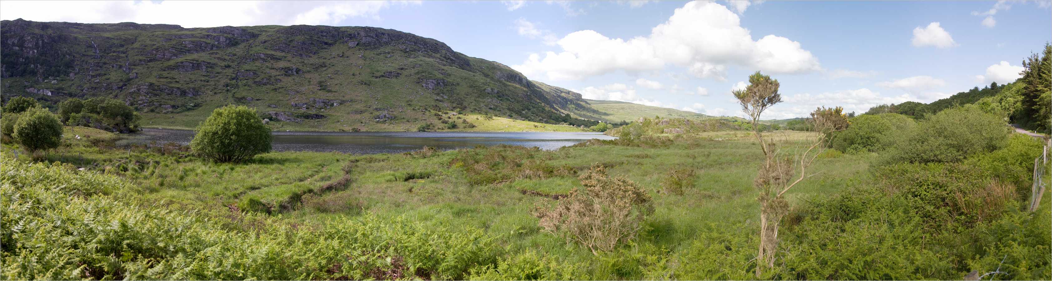 Panorama >> Irland - Gougane Barra