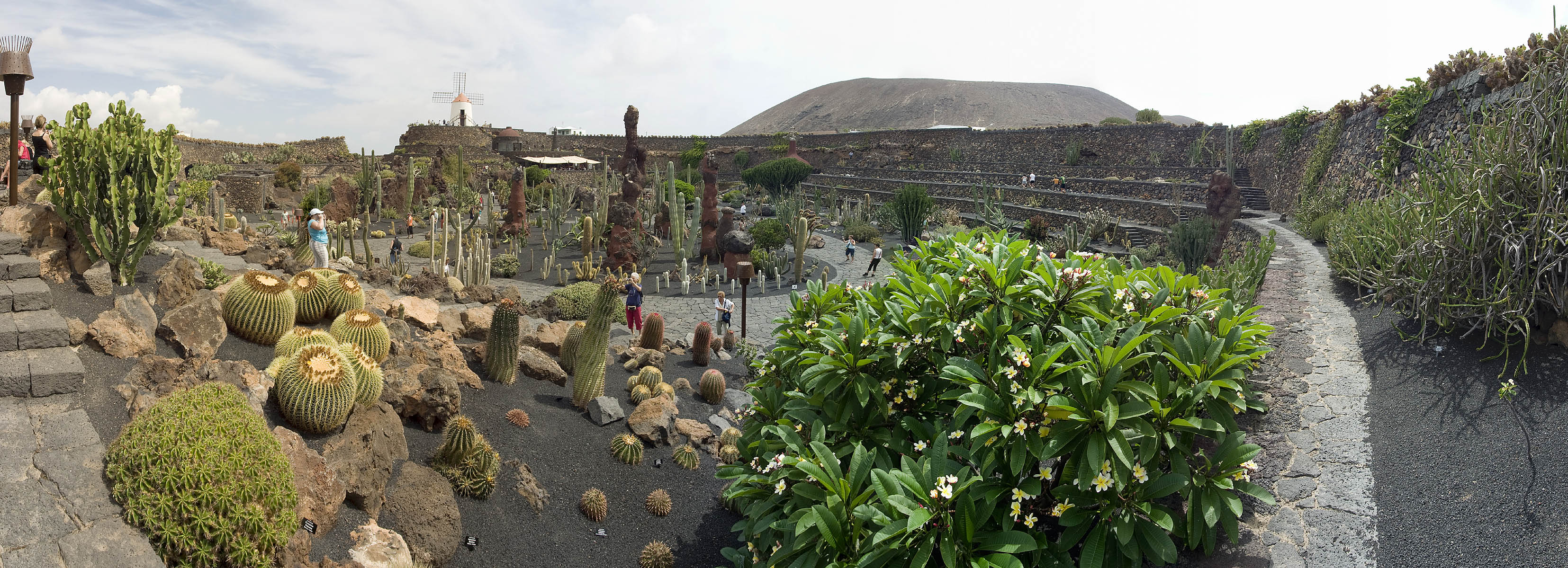 Panorama >> Lanzarote - Jardin de Cactus (Kaktusgarten)