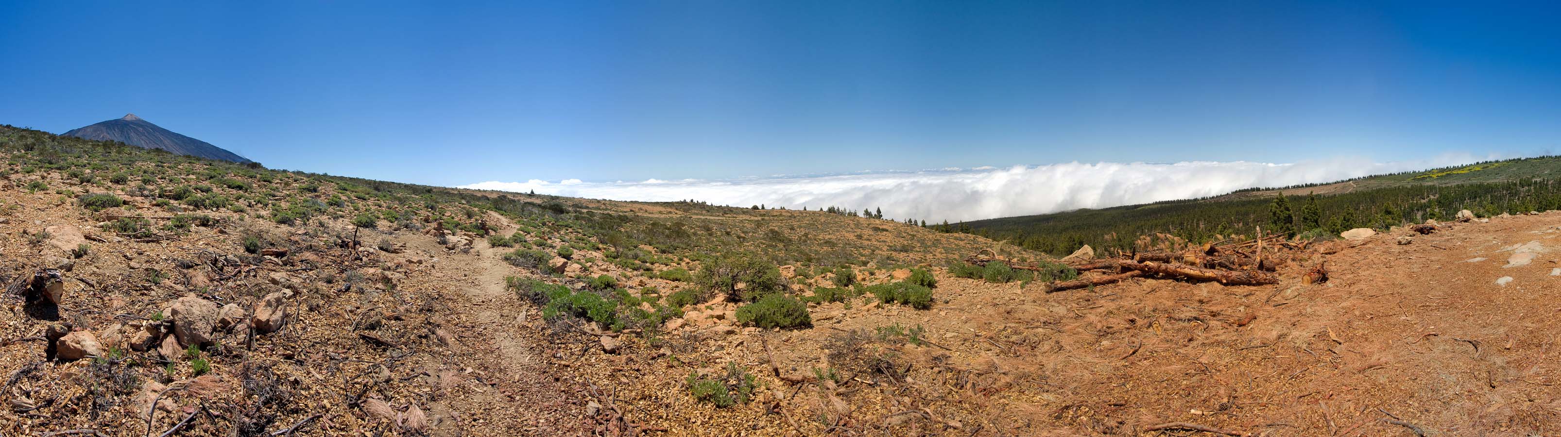Panorama >> Fortaleza