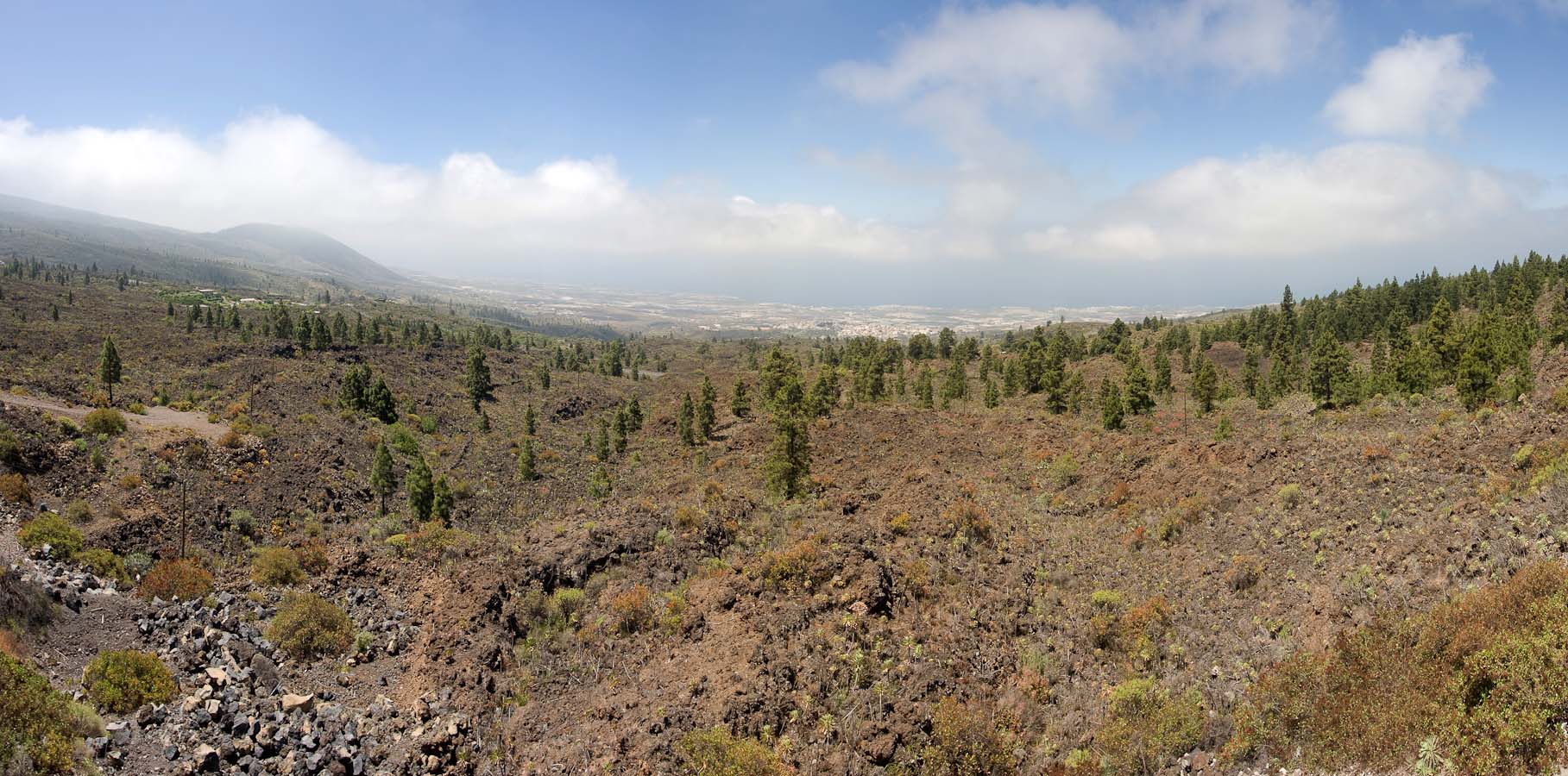 Panorama >> Pinar de Chio