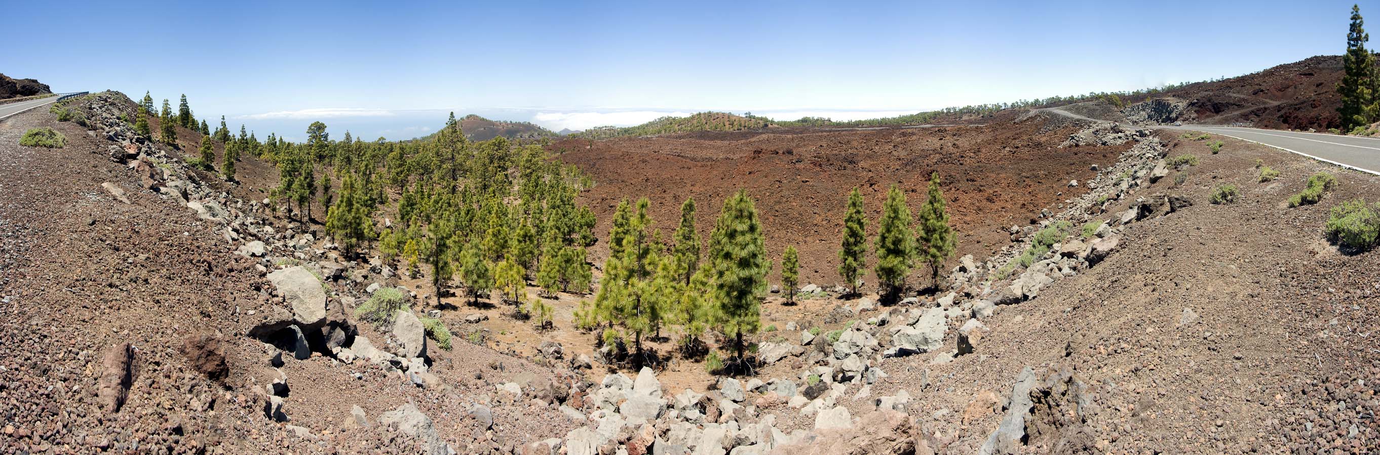 Panorama >> Pinar de Chio