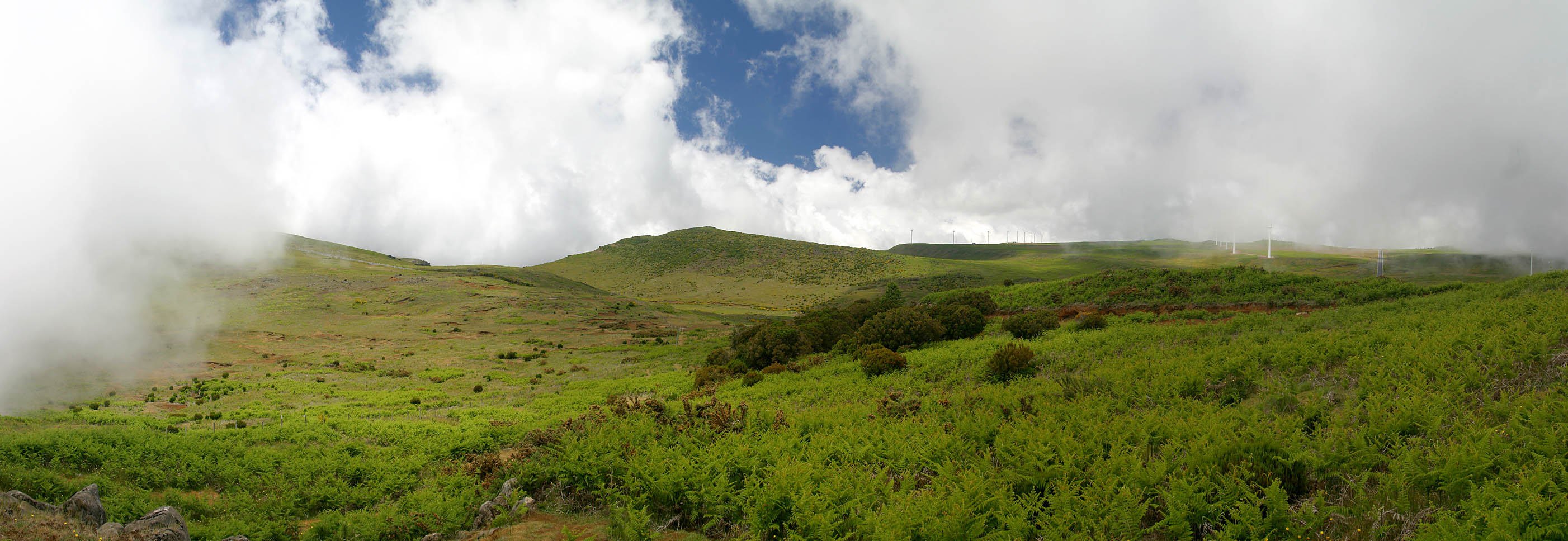 Panorama >> Madeira - Paul da Serra bei Bica de Cana
