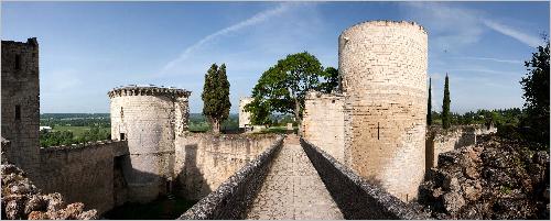 Panorama Burg Chinon