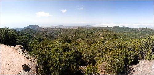 Panorama Alto de Garajonay Panorama Alto de Garajonay