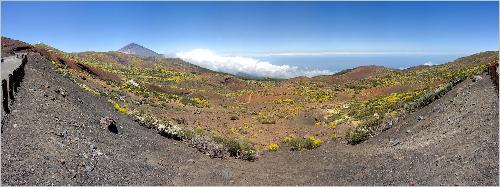 Panorama Beim Observatorium