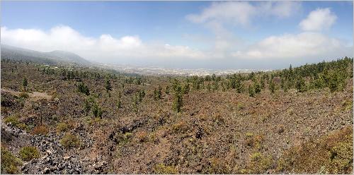Panorama Pinar de Chio